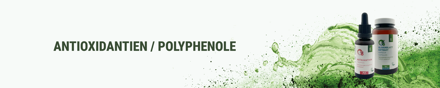 Kategorie Antioxidantien Polyphenole