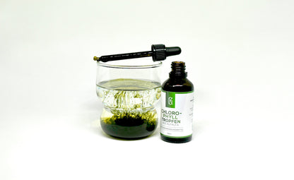 Kraftgras Chlorophylltropfen im Glas