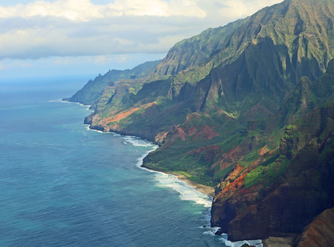 Kraftgras Hawaiian Spirulina